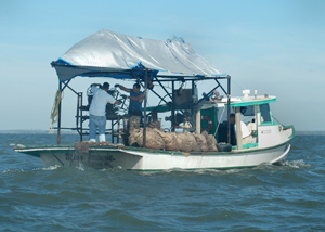 oyster boat