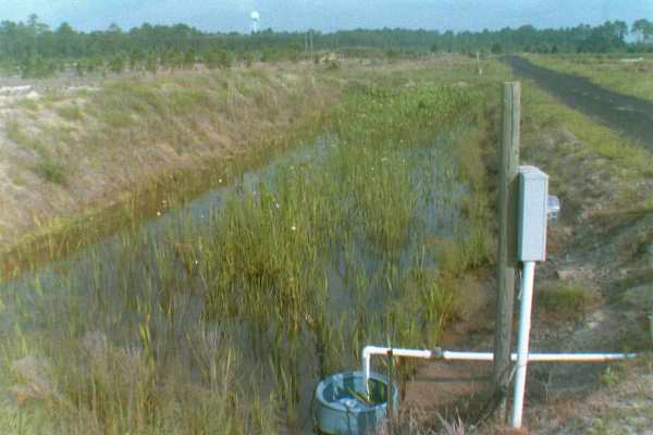 wetland