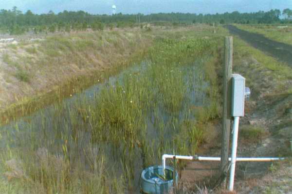 wetland